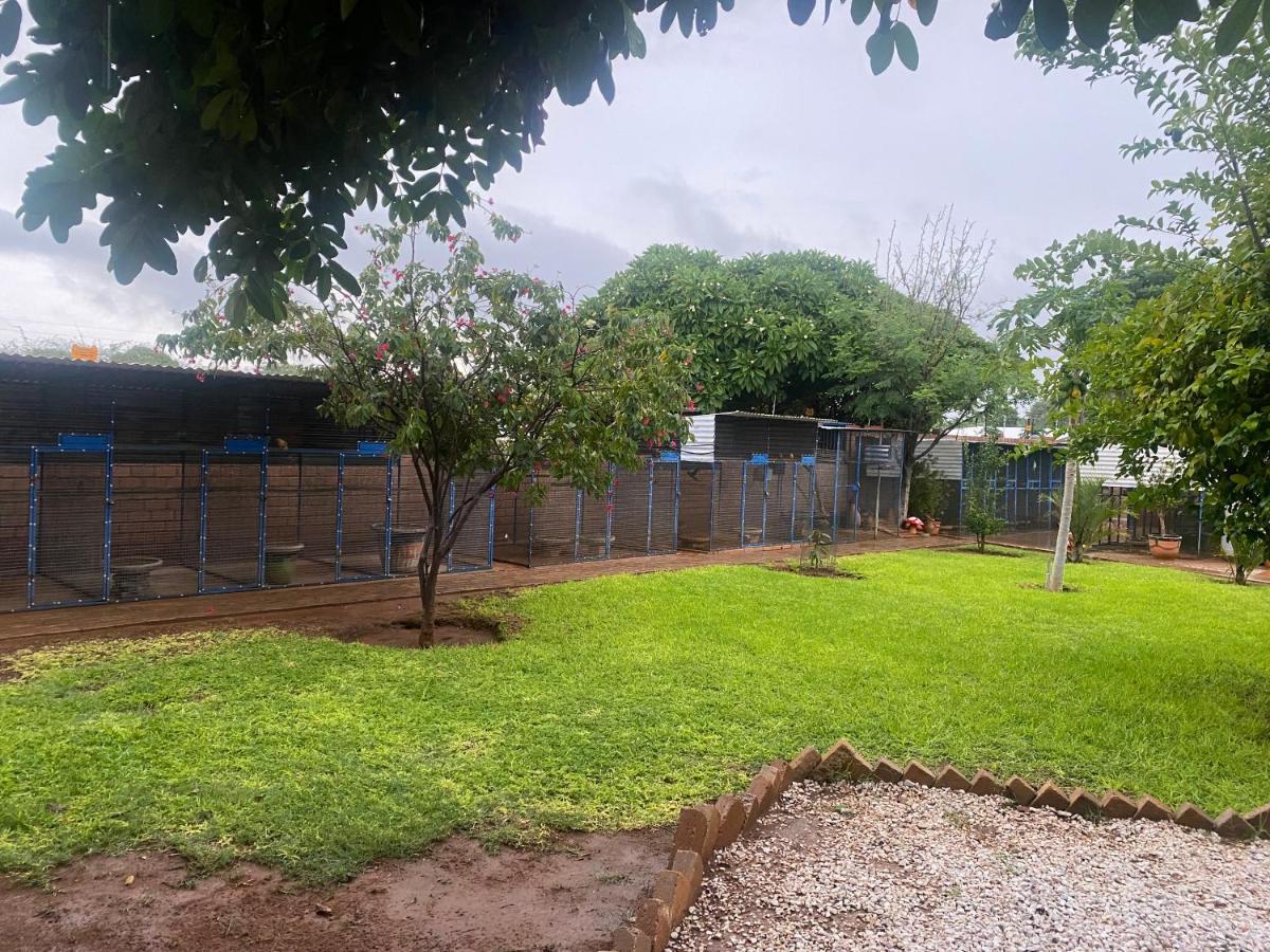 צומב El-Kole Bed And Breakfast מראה חיצוני תמונה